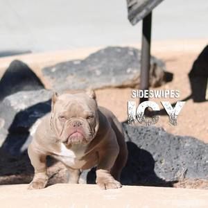 Meet your Posher, Tri